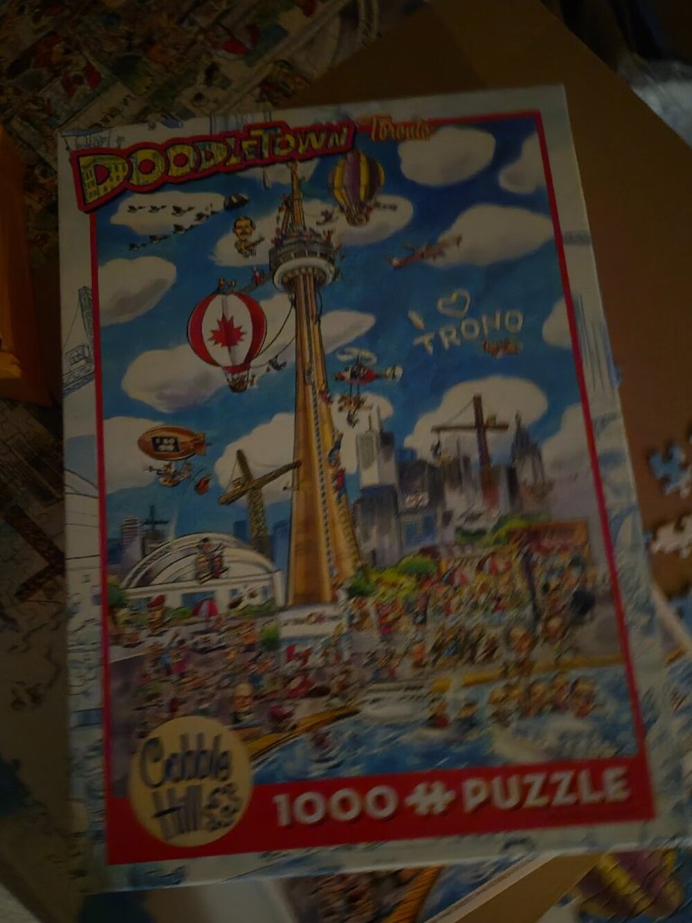 1000 Piece Jigsaw Puzzle